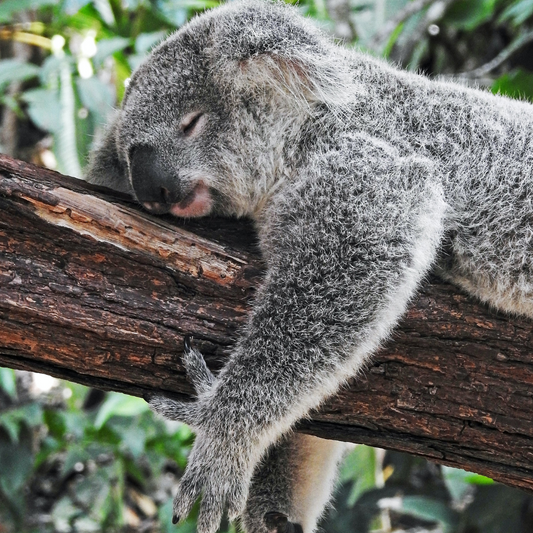 How to Stop Waking Up in the Middle of the Night