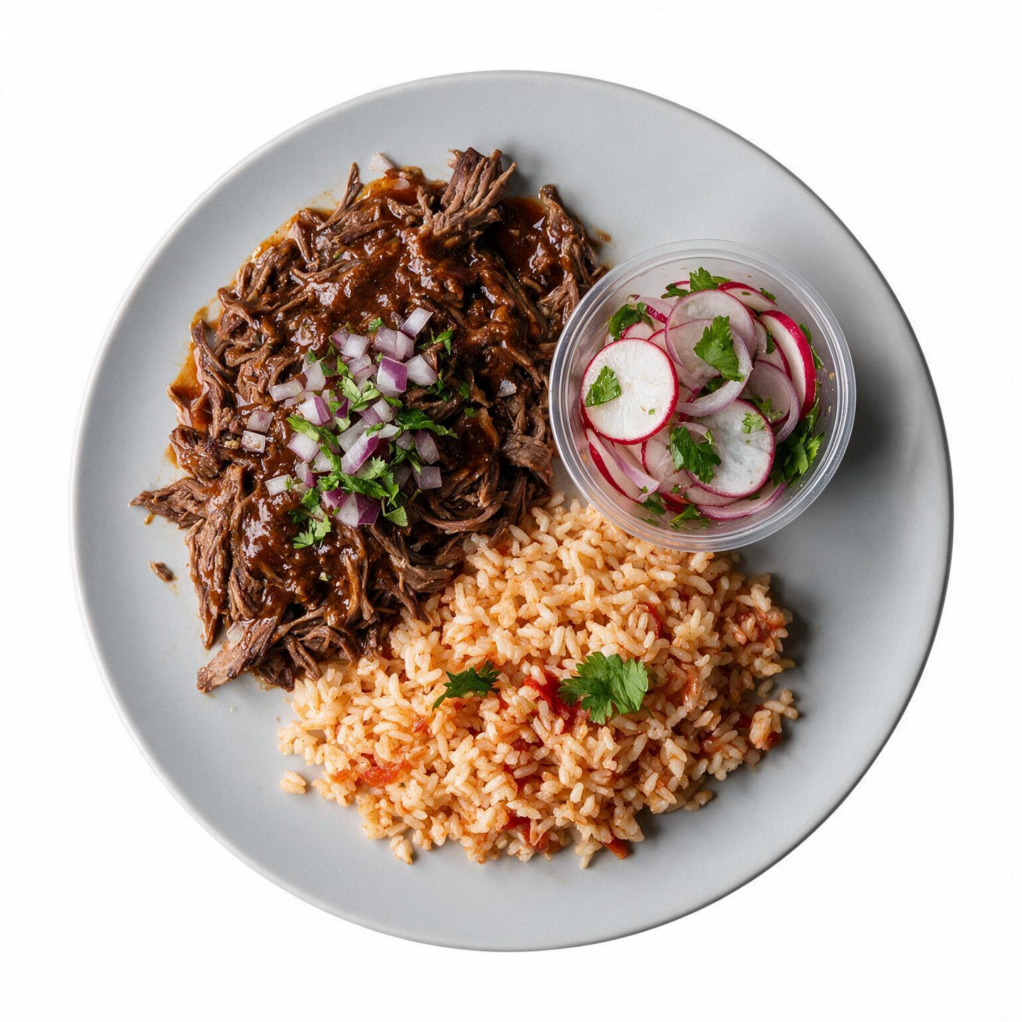 Beef Birria Balanced