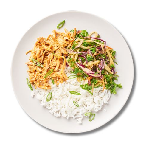 Honey Garlic Chicken Balanced