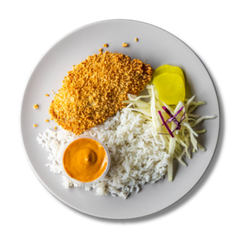 Japanese Curry Chicken Balanced