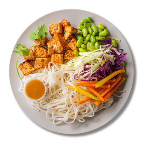 Sesame Garlic Chicken Balanced