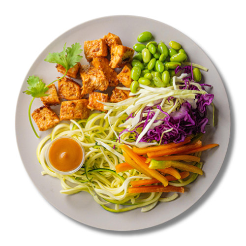 Sesame Garlic Chicken Low Carb